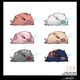 Illustration for article titled Swinub Surplus! Pokemon One a Day, Series 2!
